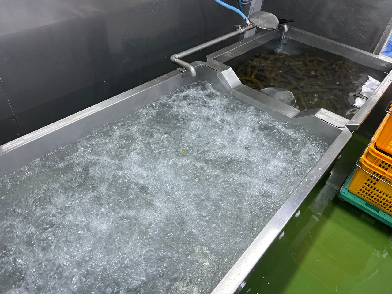 버블세척기
